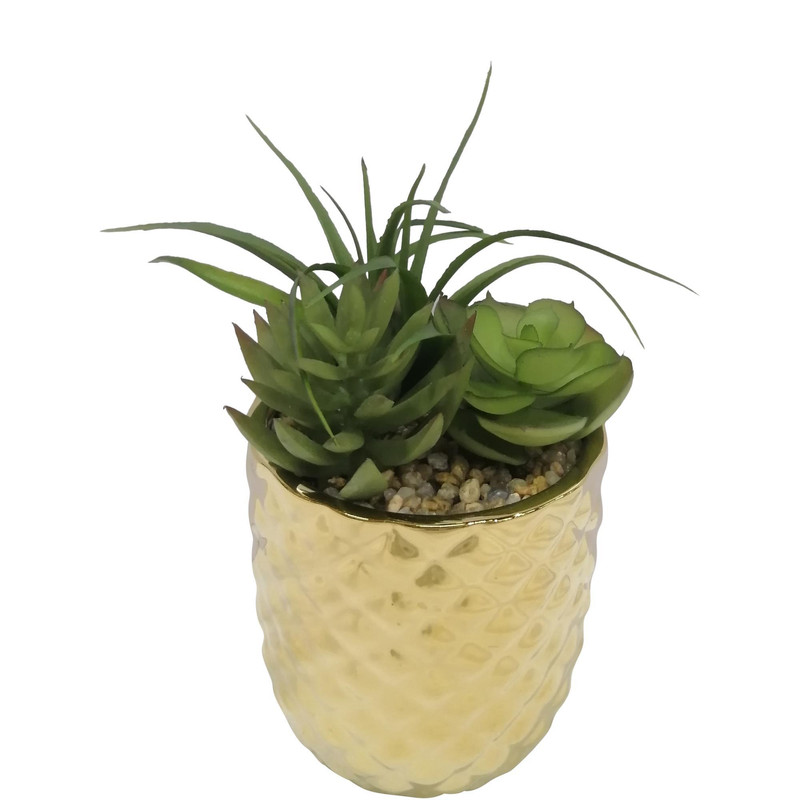 SUCULENTA ART. C/POTE 8X8X14CM