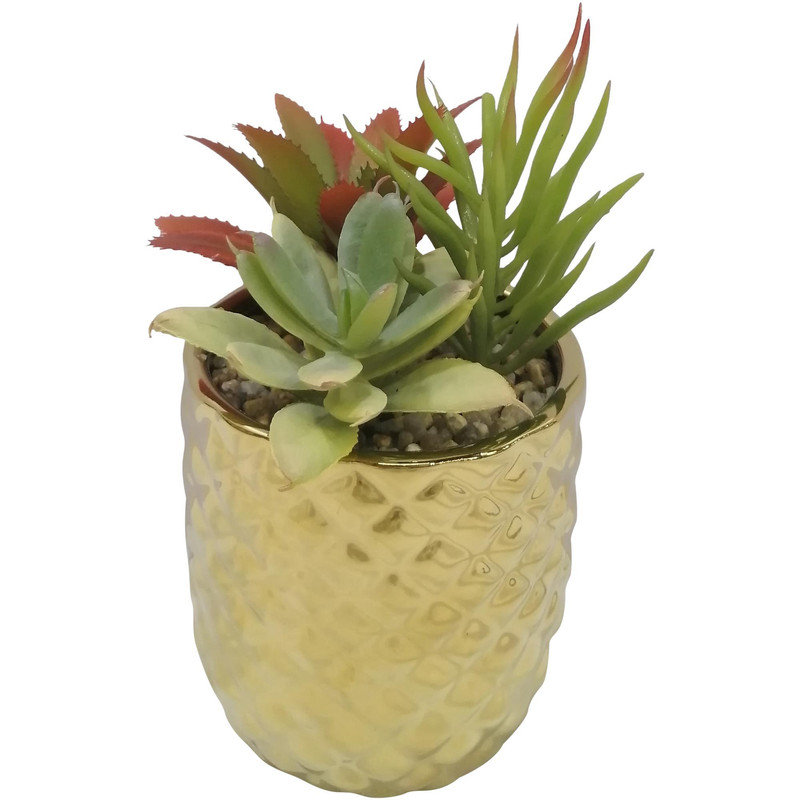 SUCULENTA ART. C/POTE 8X8X16CM