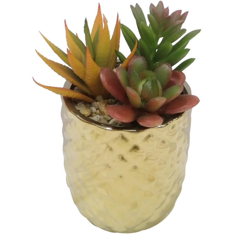 SUCULENTA ART. C/POTE 8X8X16CM