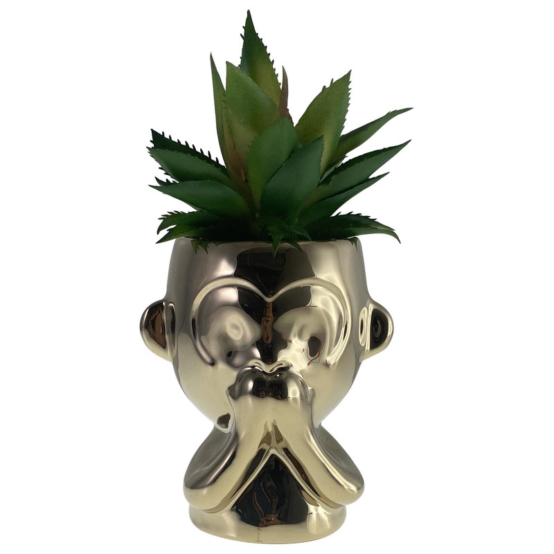 PLANTA 8.5X10X20.5CM