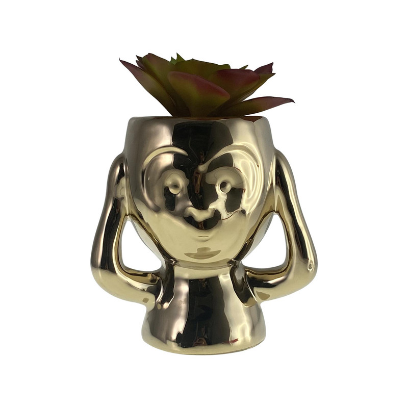 PLANTA 8.5X10X15.5CM