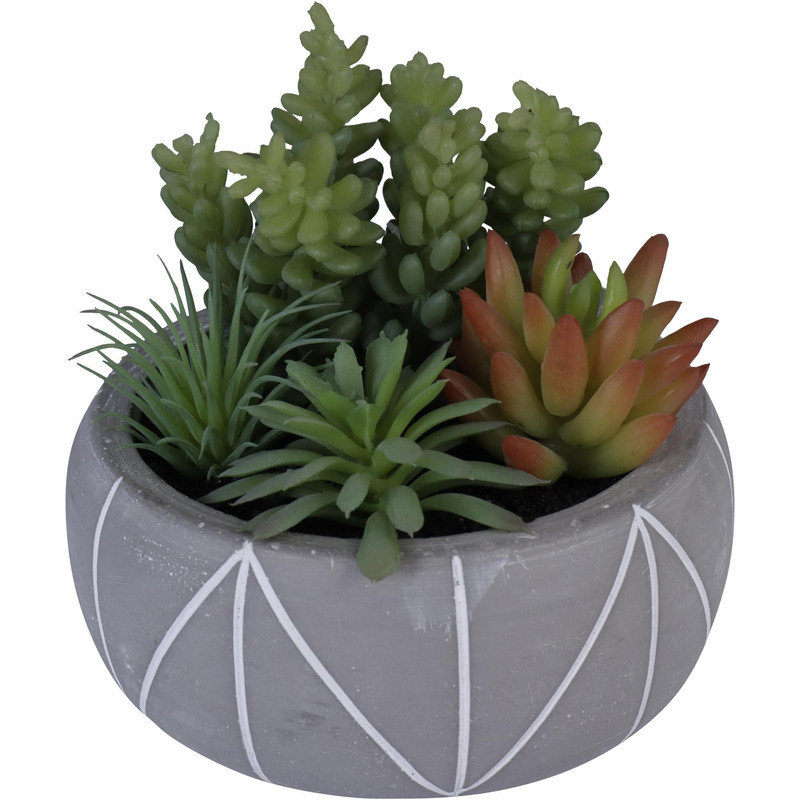 PLANTA C/POTE 12X12X14CM