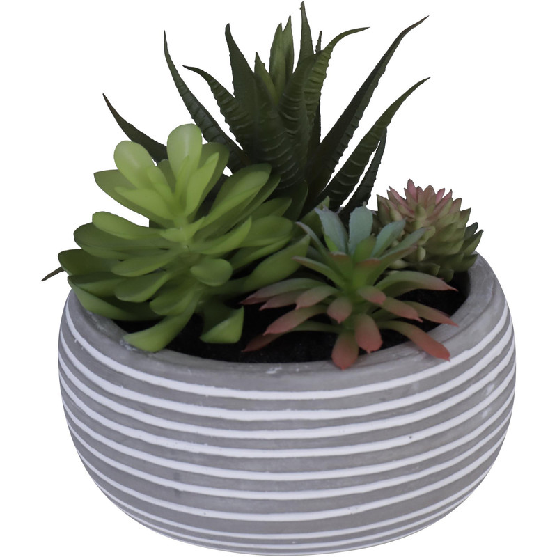 PLANTA C/POTE 14X12X12.5CM