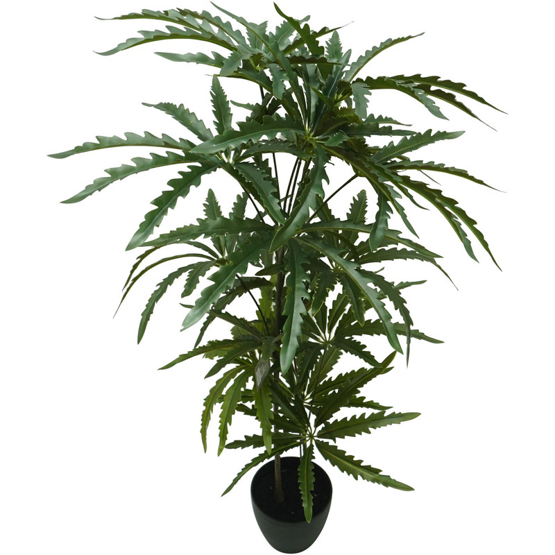 PLANTA C/POTE 60X58X100CM