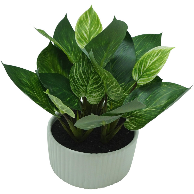 PLANTA C/POTE 28X28X30CM