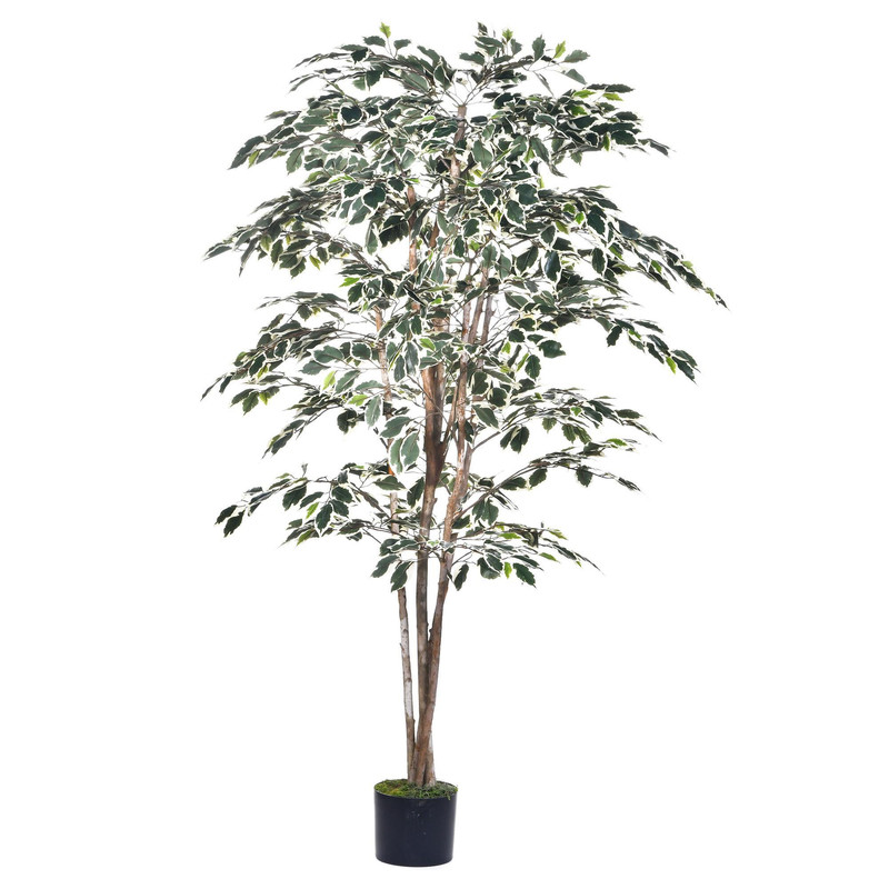 PLANTA C/ POTE 180CM