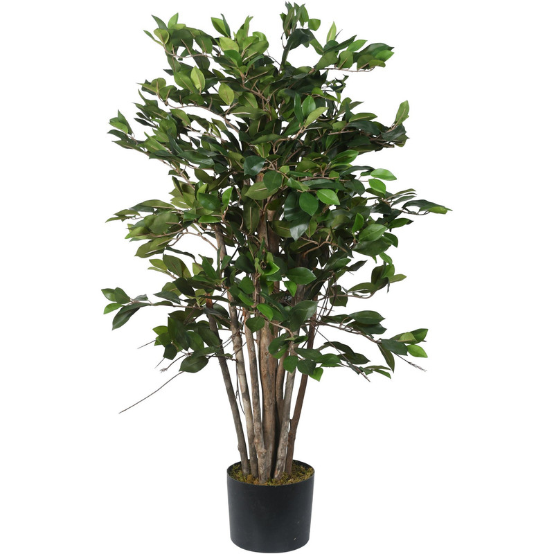 PLANTA ART. C/POTE 48X48X100 C