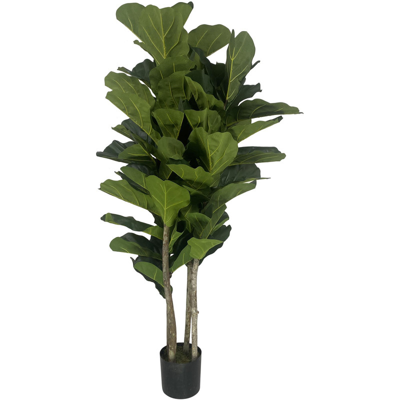 PLANTA ART. C/POTE 48X48X150 C