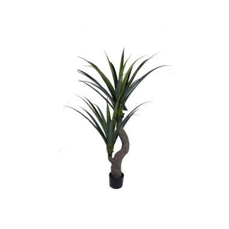 AGAVE C/POTE DECOR 160X90X150
