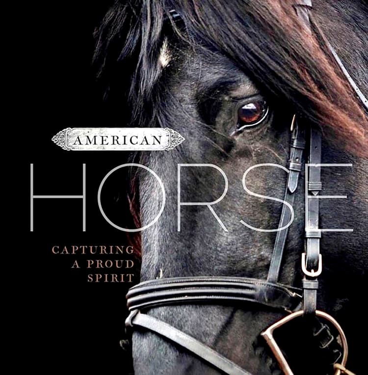 American Horse - hc